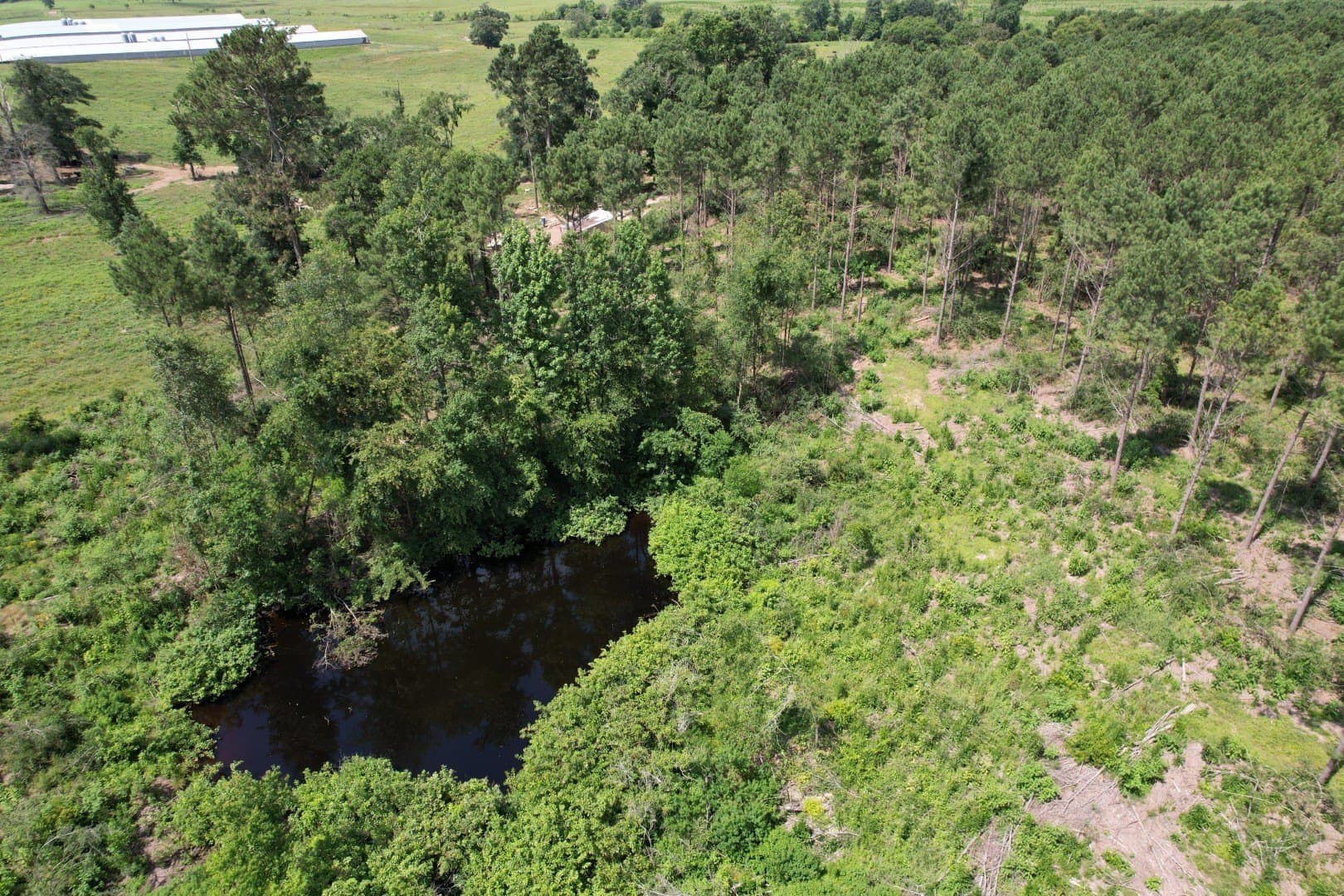 75 acres in Shelby County - photo 2