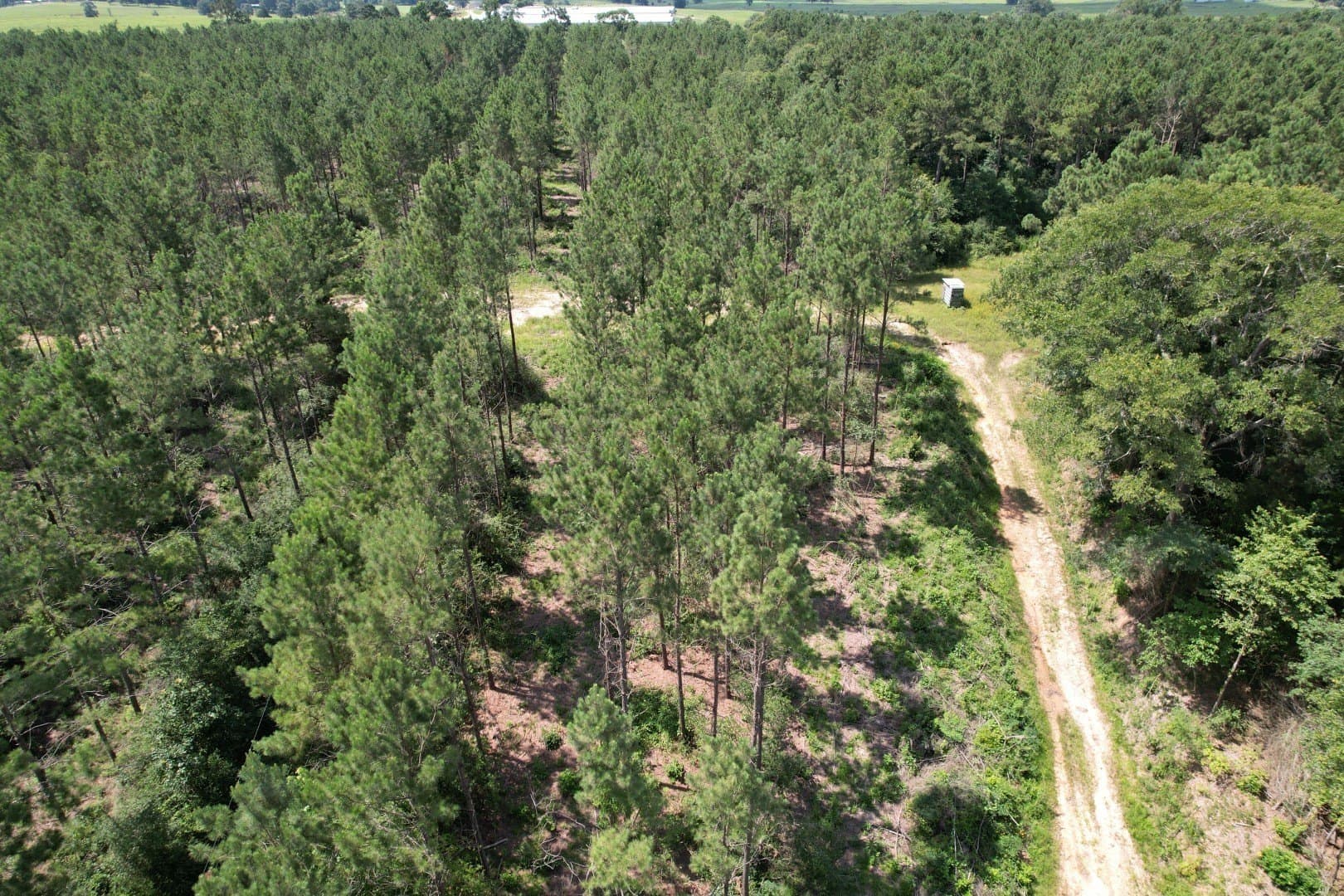 75 acres in Shelby County - photo 7