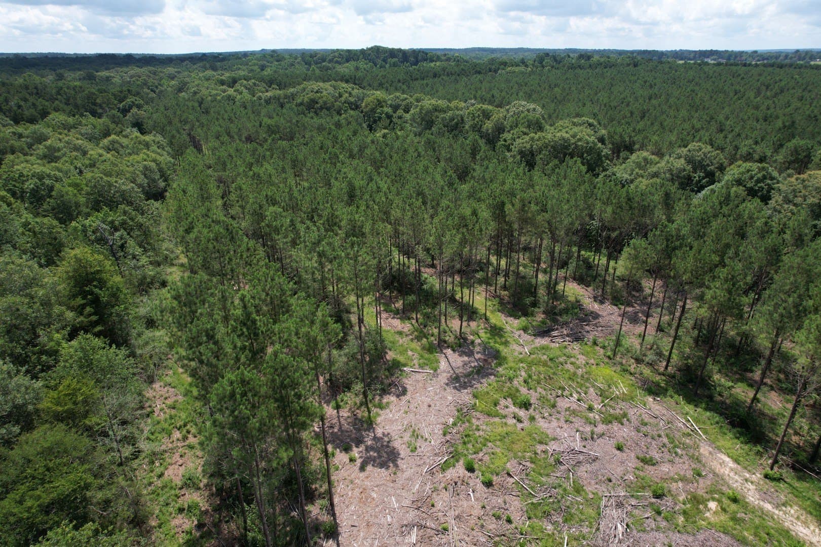 75 acres in Shelby County - photo 4
