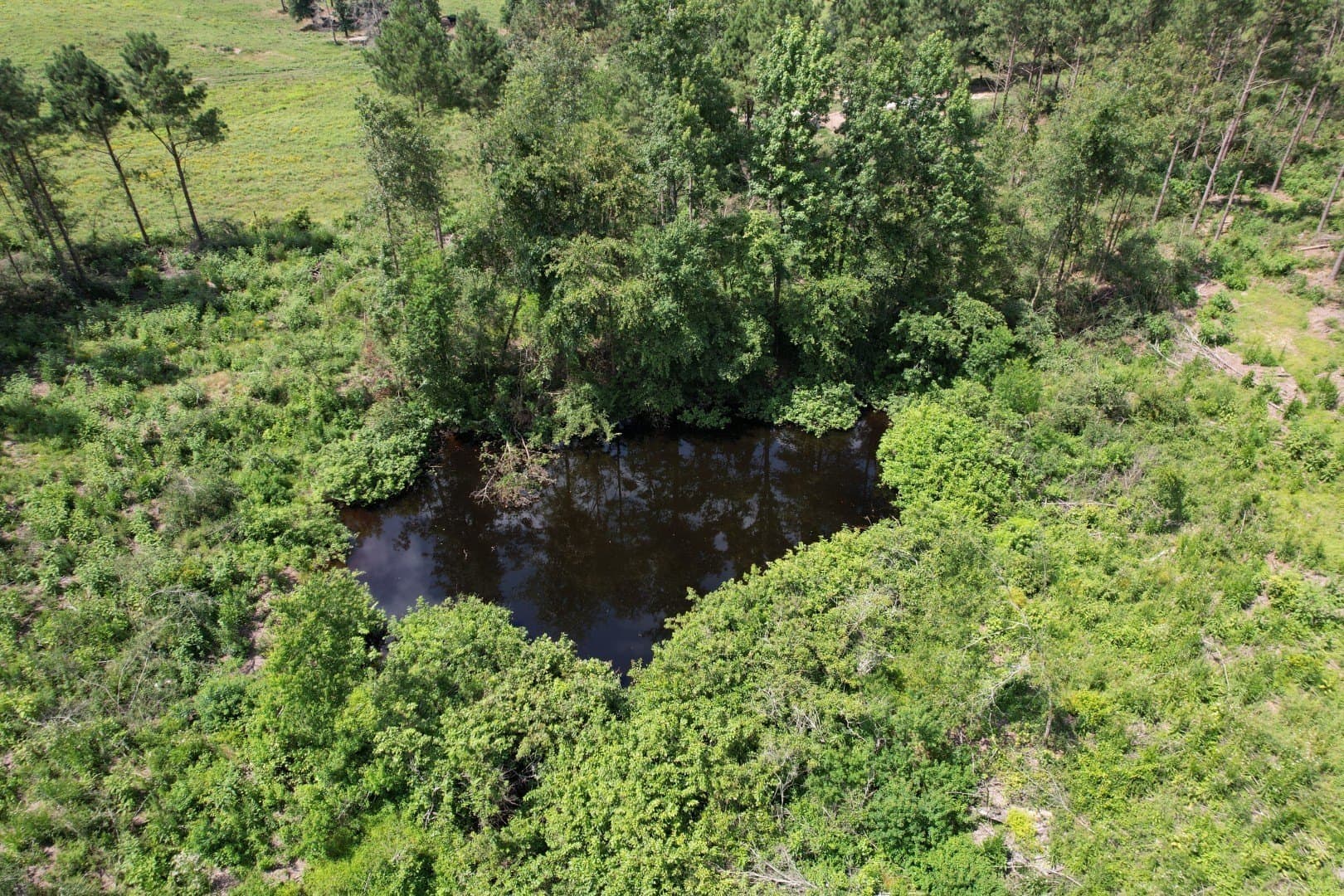 75 acres in Shelby County - photo 10