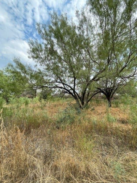 0.37 acres in Uvalde County - photo 4