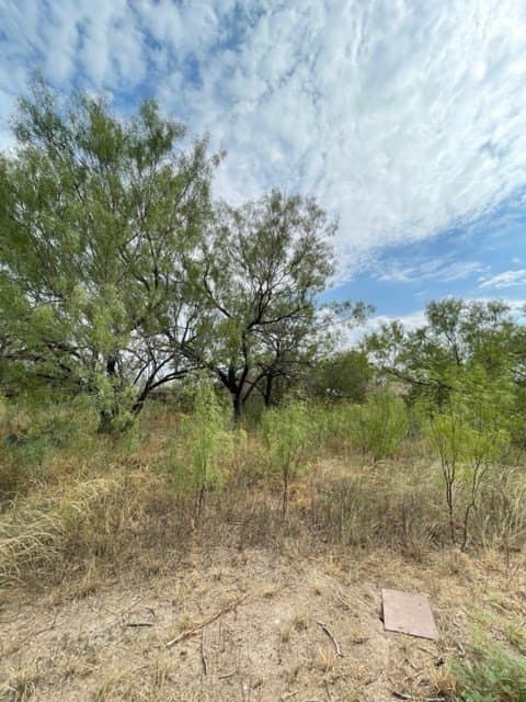 0.37 acres in Uvalde County - photo 6
