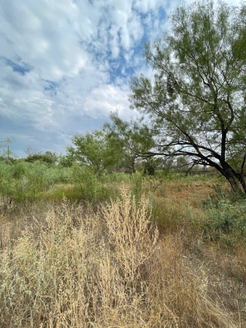 0.37 acres in Uvalde County - photo 3