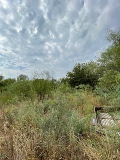 0.37 acres in Uvalde County - photo 11