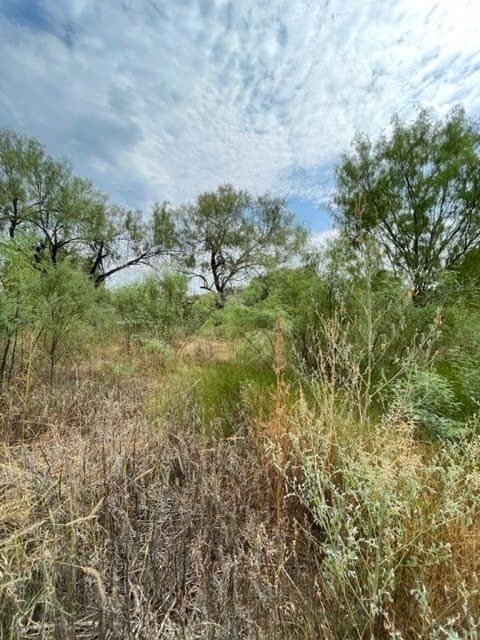 0.37 acres in Uvalde County - photo 9
