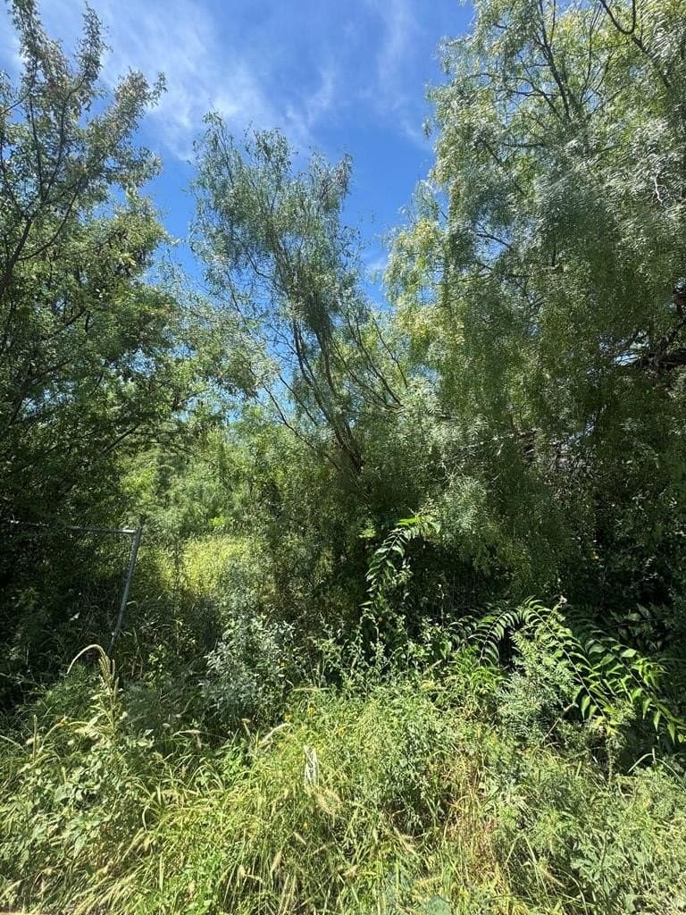 0.37 acres in Uvalde County - photo 12