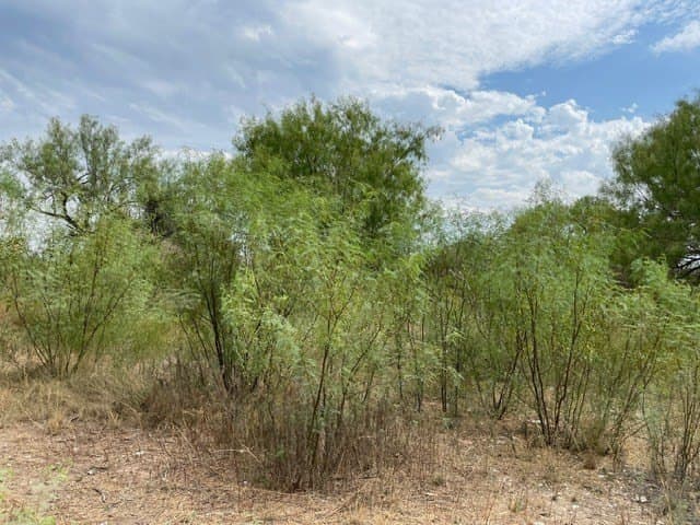 0.37 acres in Uvalde County - photo 7