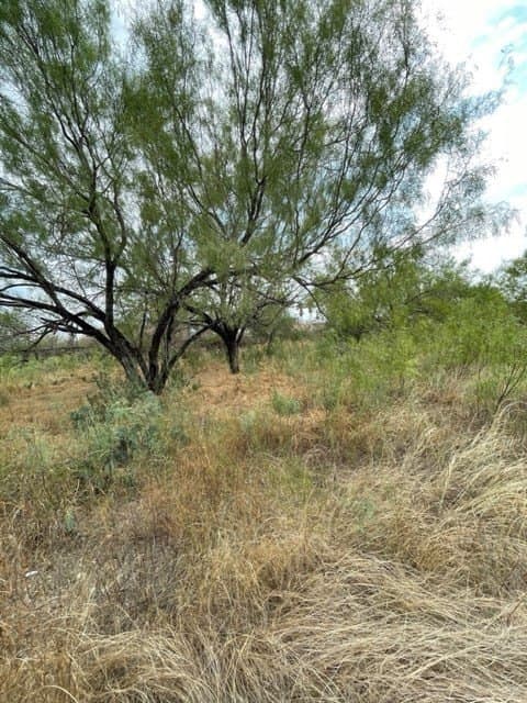 0.37 acres in Uvalde County - photo 2