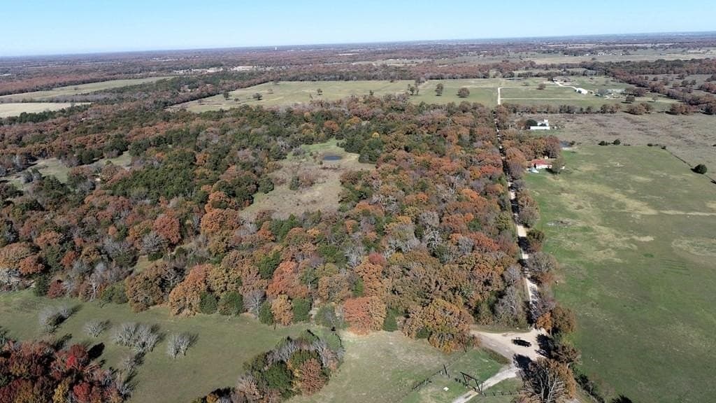 50 acres in Henderson County gallery image 2