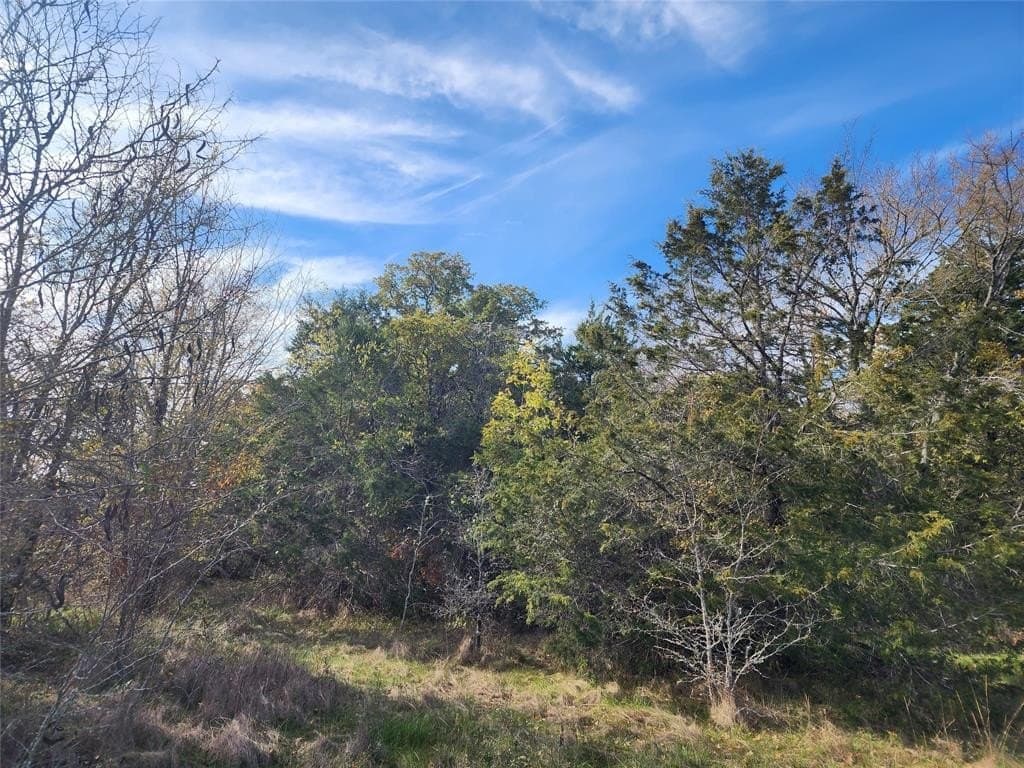50 acres in Henderson County featured view
