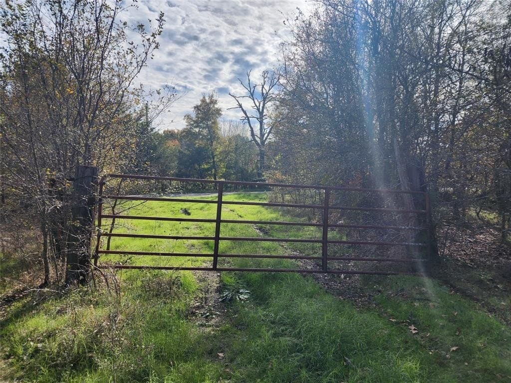 50 acres in Henderson County gallery image 4