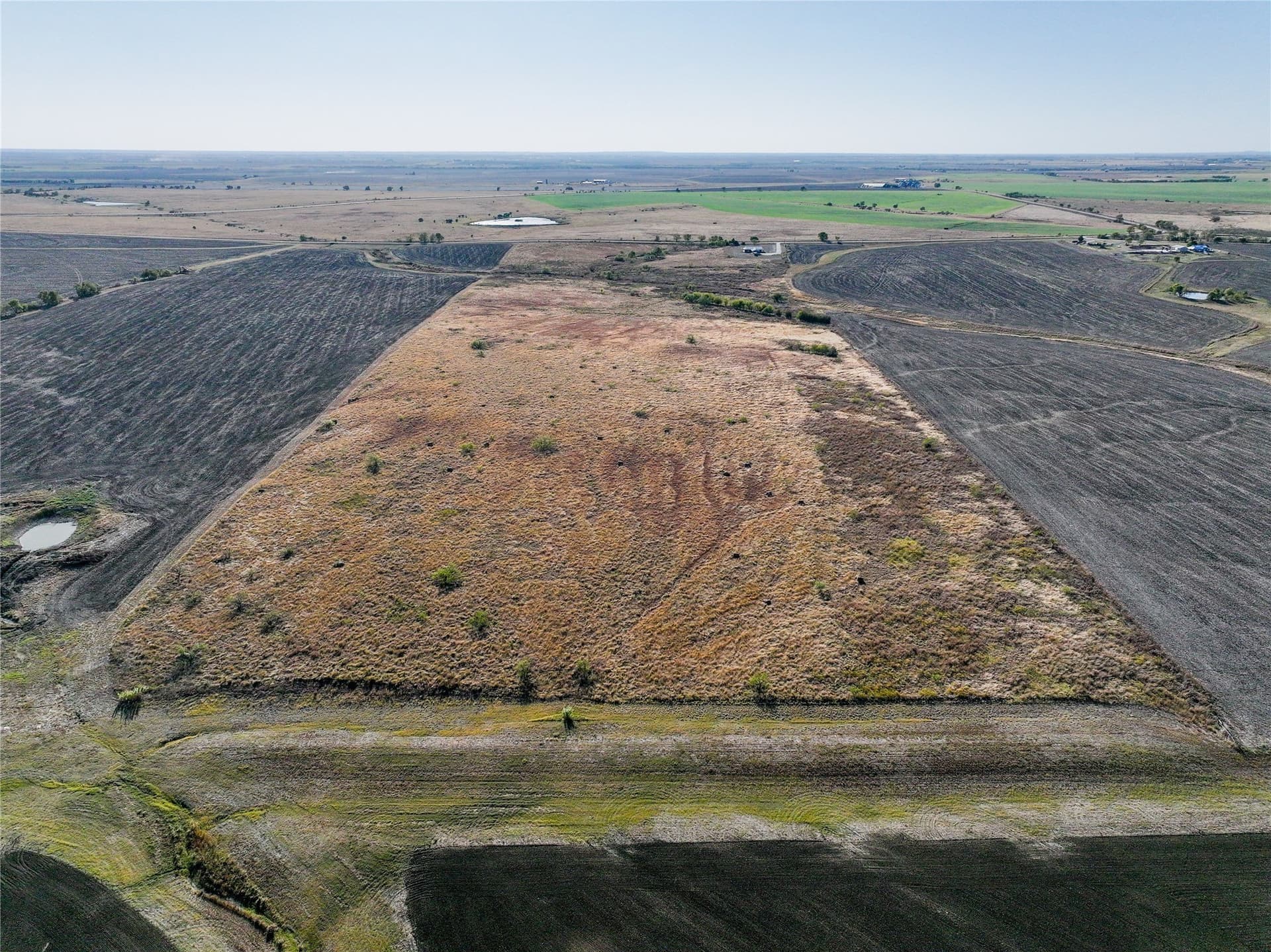 54.48 acres in Falls County - photo 13