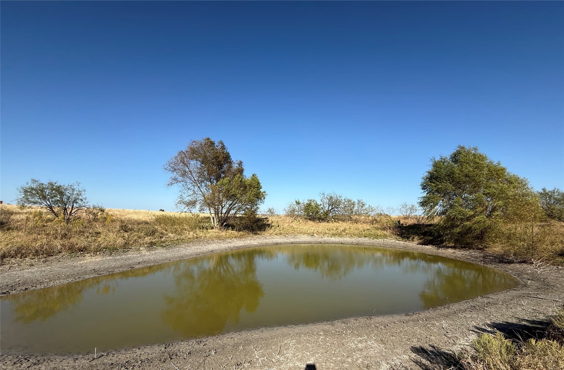 54.48 acres in Falls County - photo 4