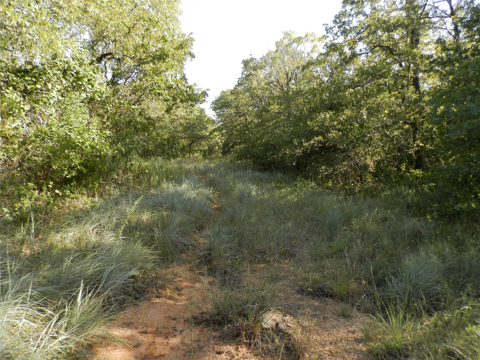 40.17 acres in Wise County - photo 3