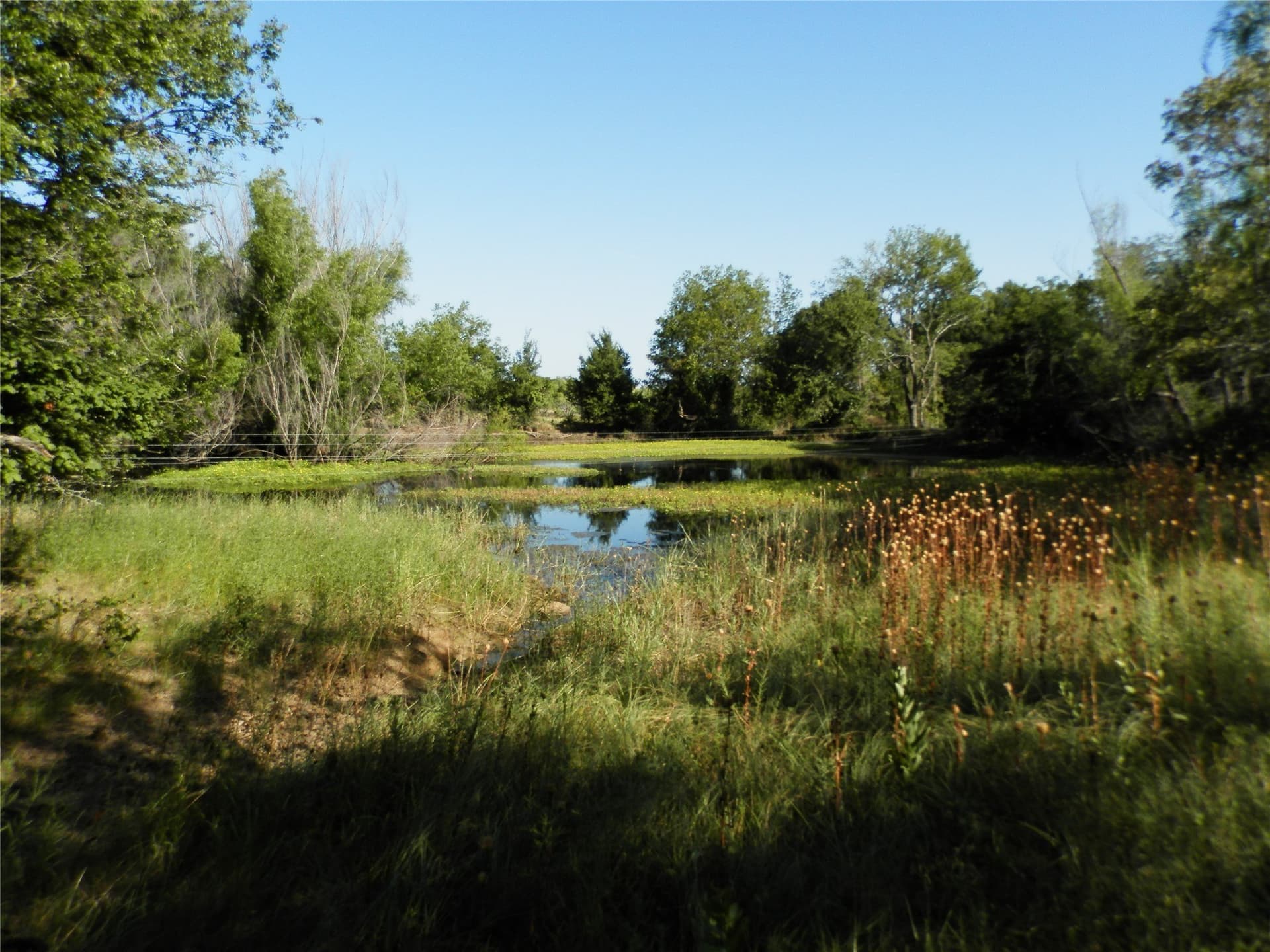 40.17 acres in Wise County - photo 9