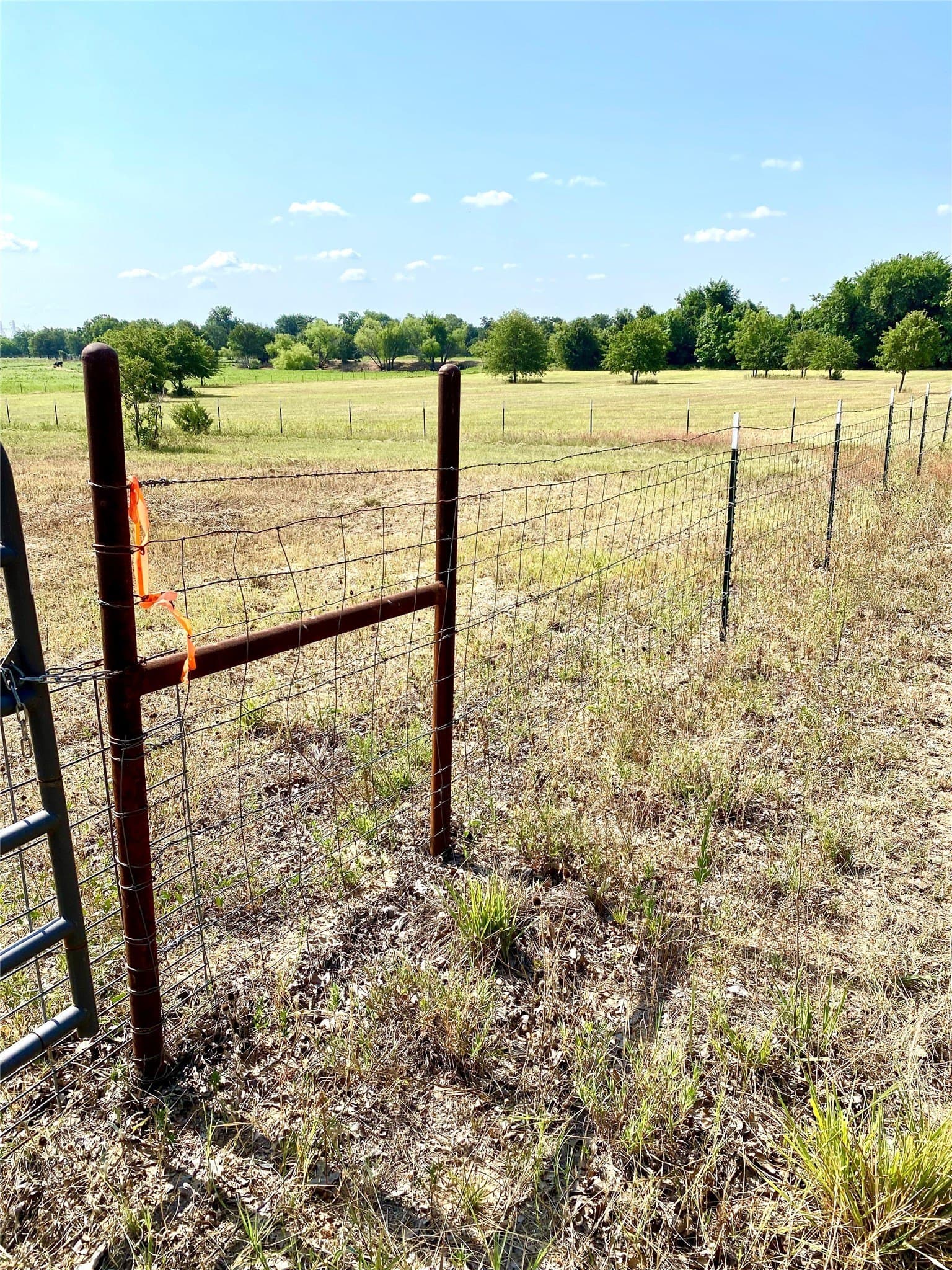 40.17 acres in Wise County - photo 38