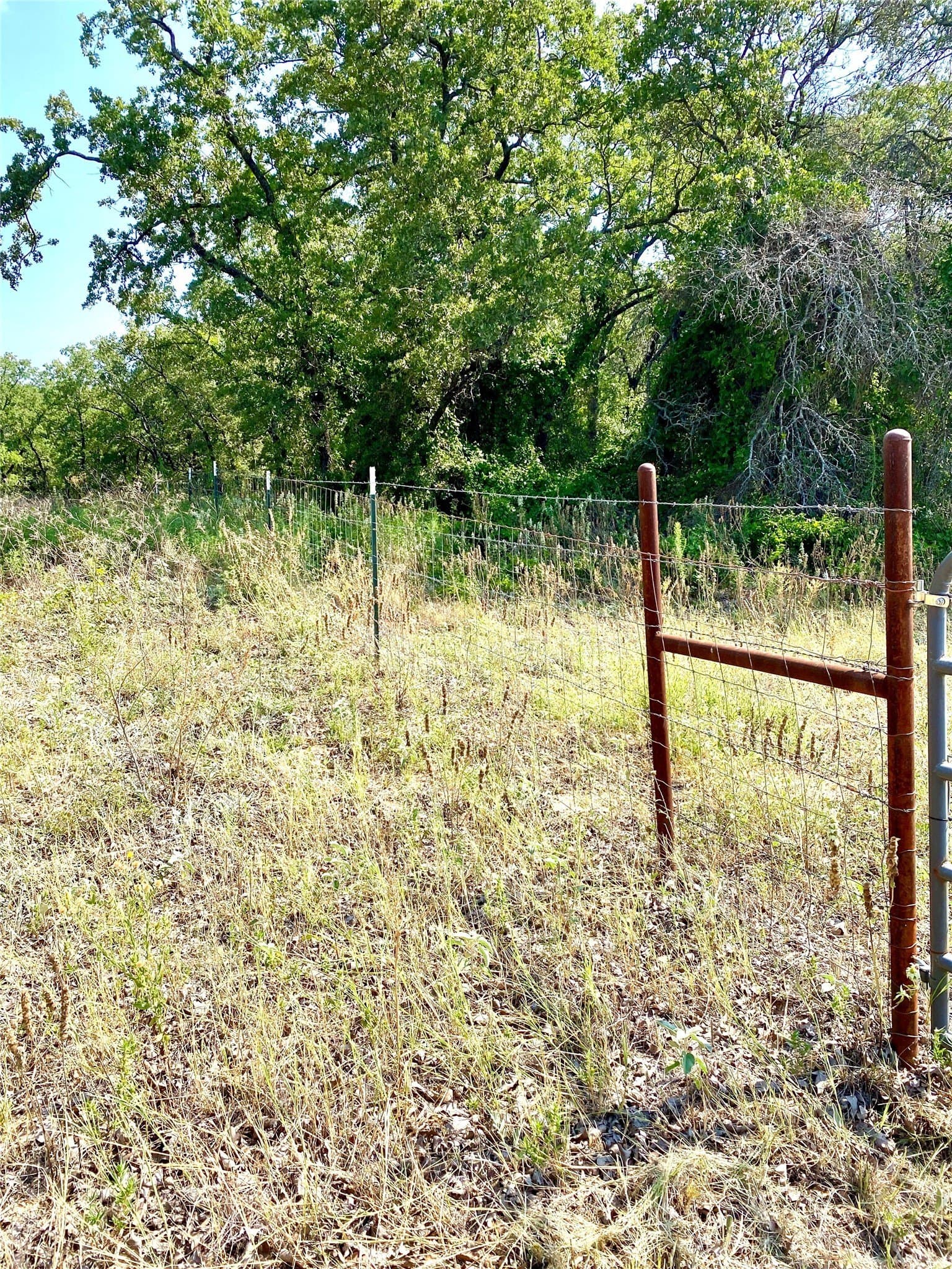 40.17 acres in Wise County - photo 39