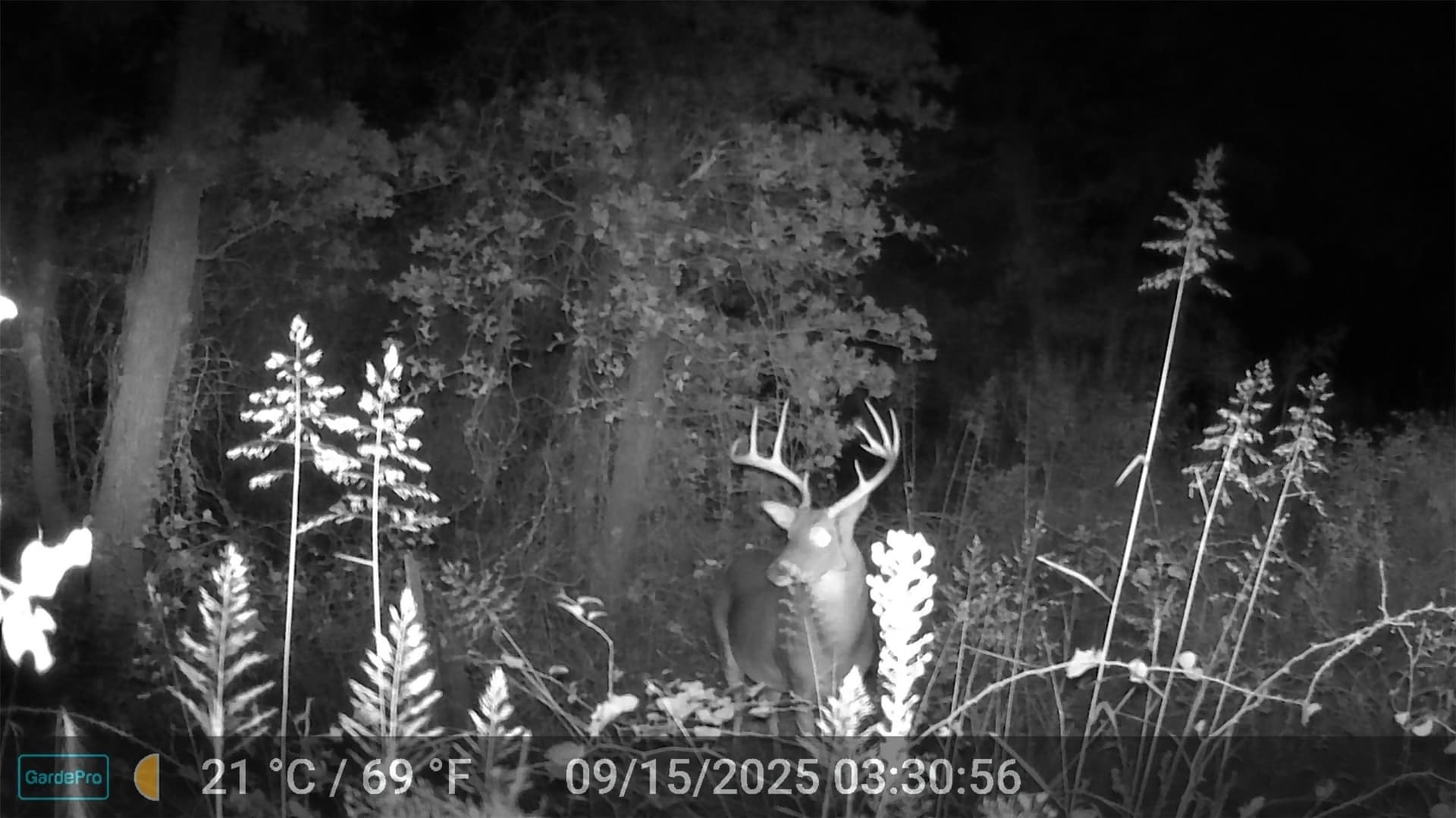 40.17 acres in Wise County - photo 10
