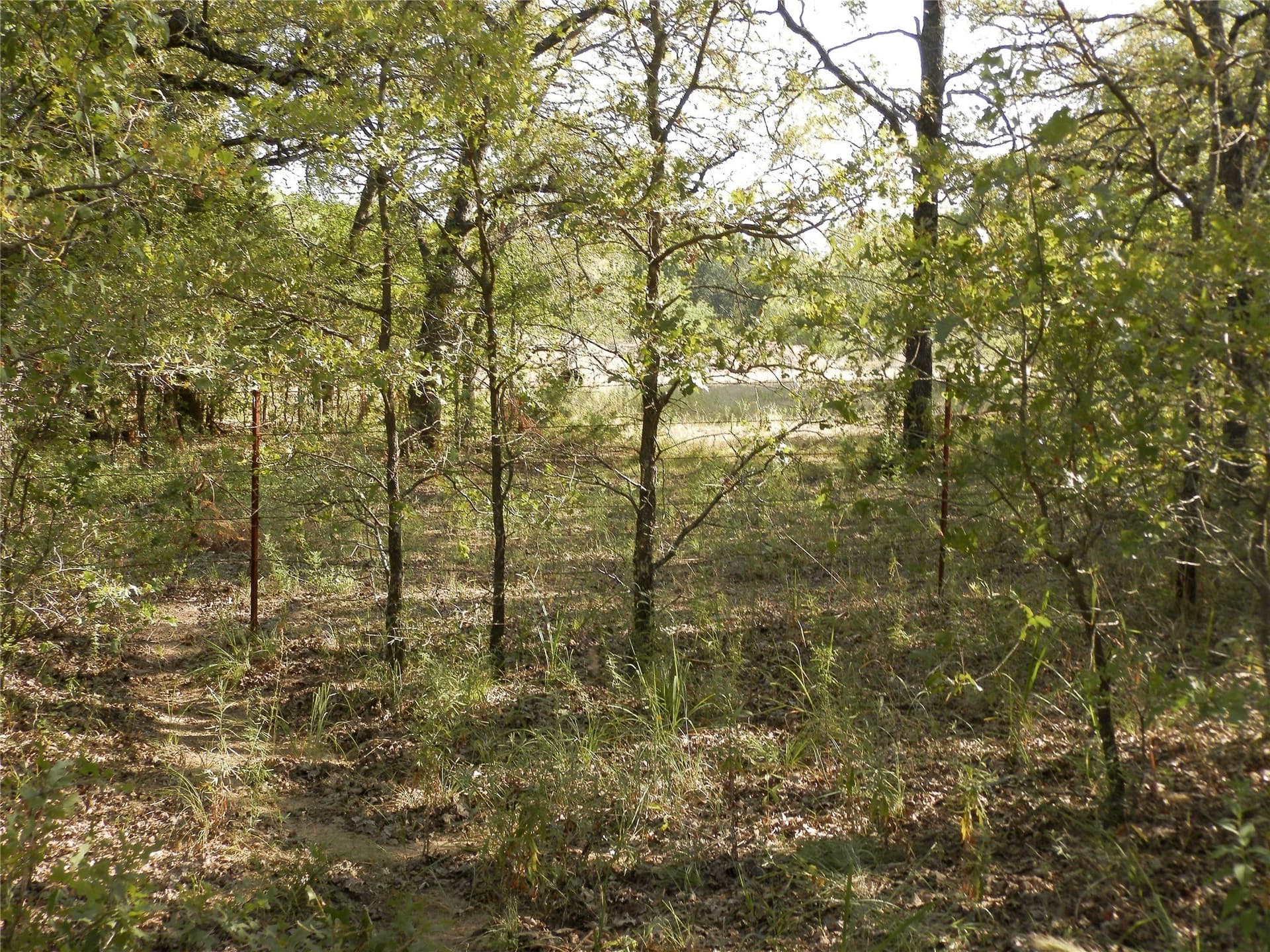 40.17 acres in Wise County - photo 27