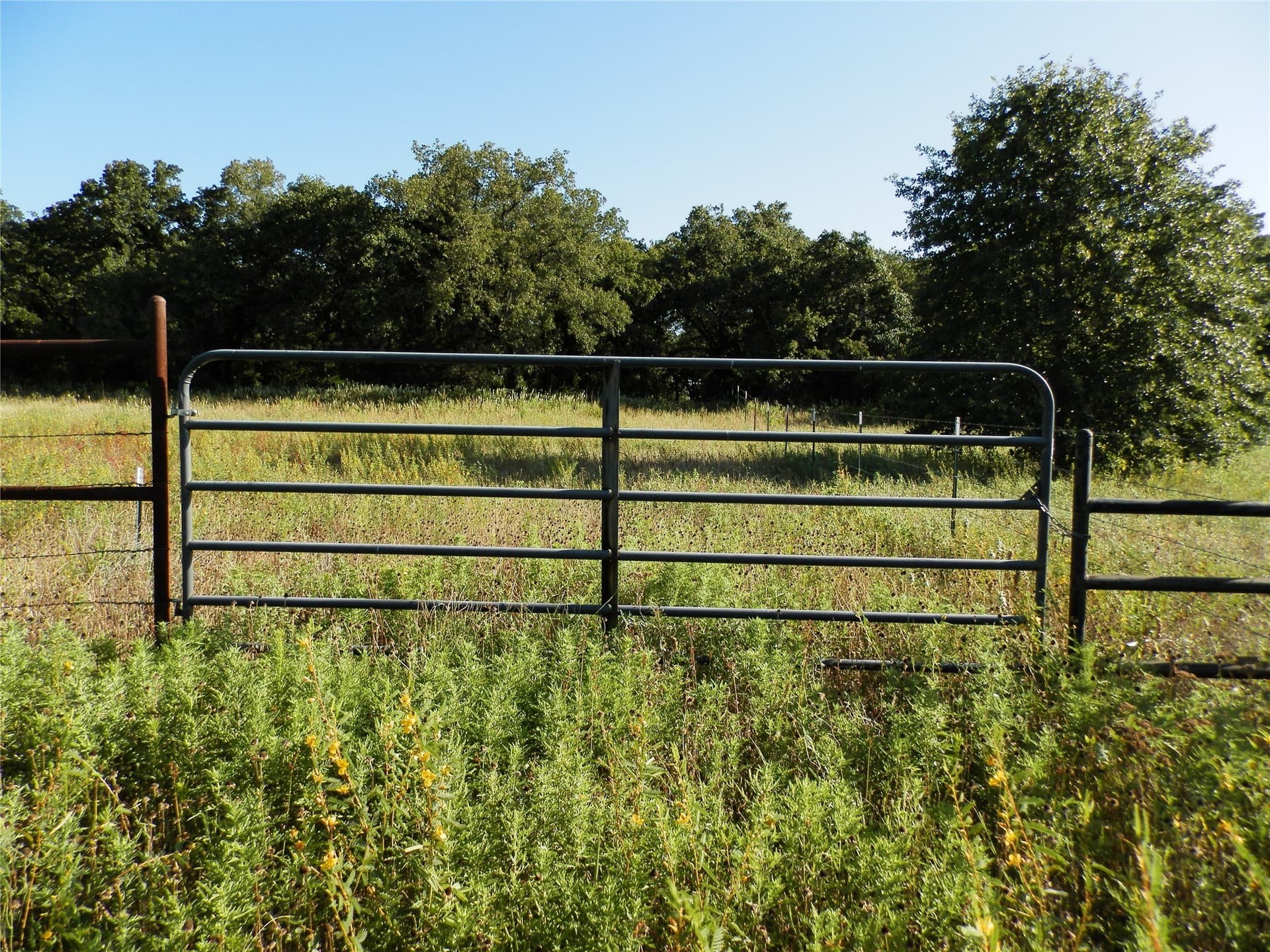 40.17 acres in Wise County - photo 20