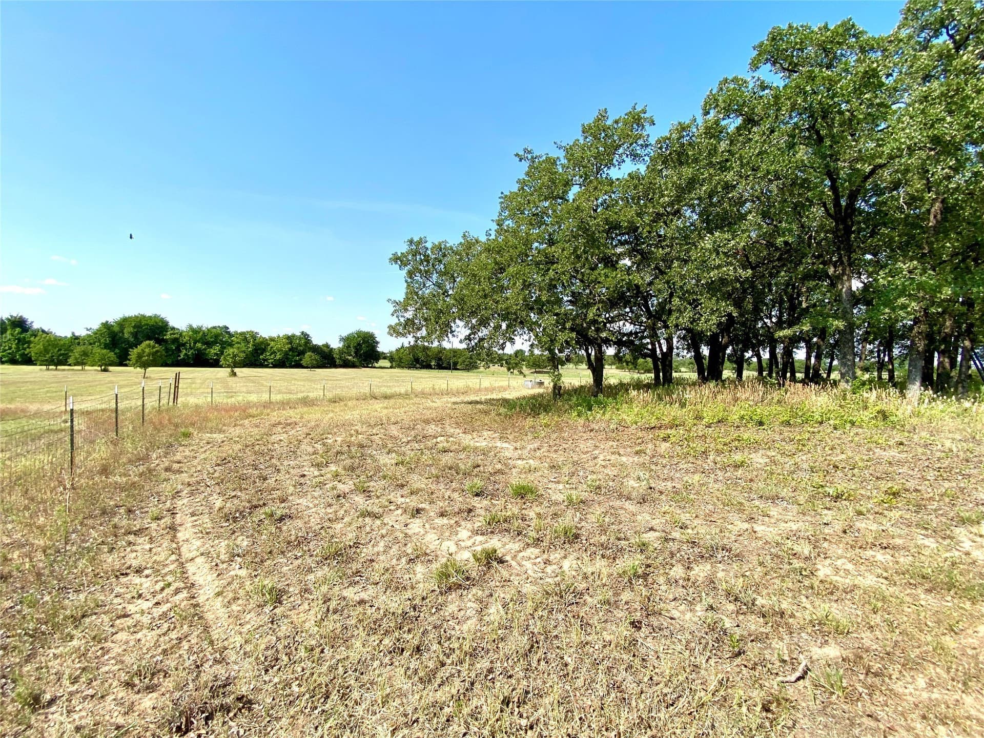 40.17 acres in Wise County - photo 13