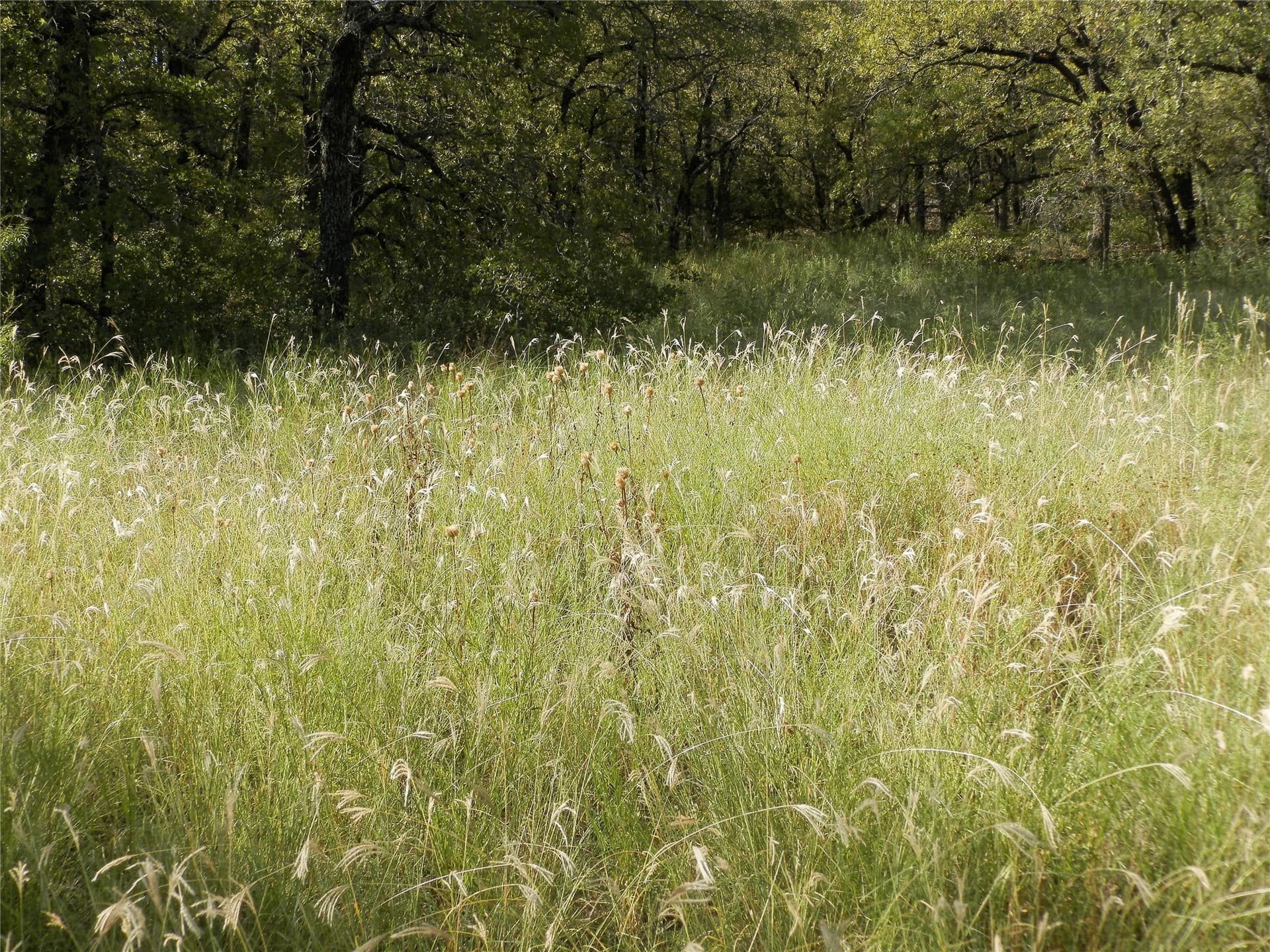 40.17 acres in Wise County - photo 28