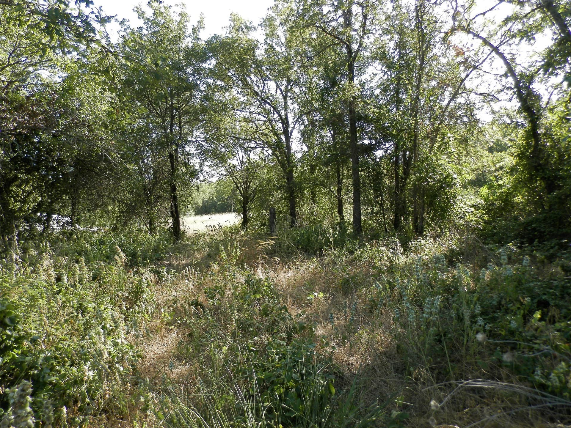 40.17 acres in Wise County - photo 25