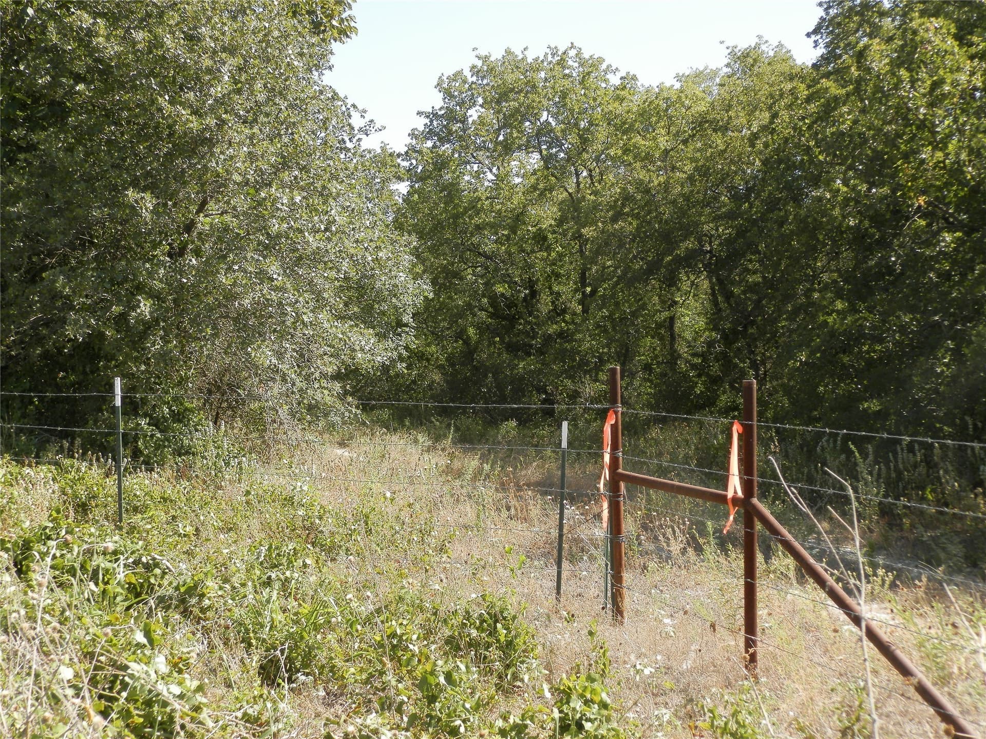 40.17 acres in Wise County - photo 29