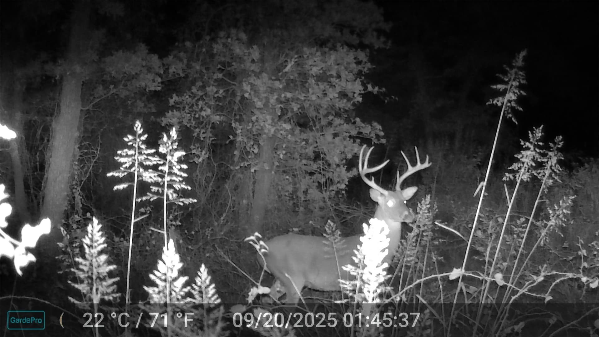 40.17 acres in Wise County - photo 4