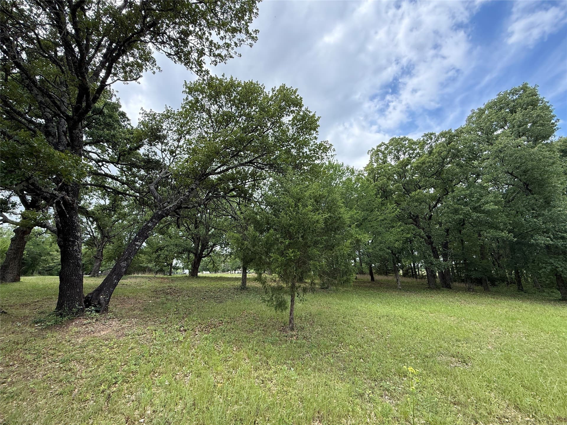 0.66 acres in Freestone County - photo 20