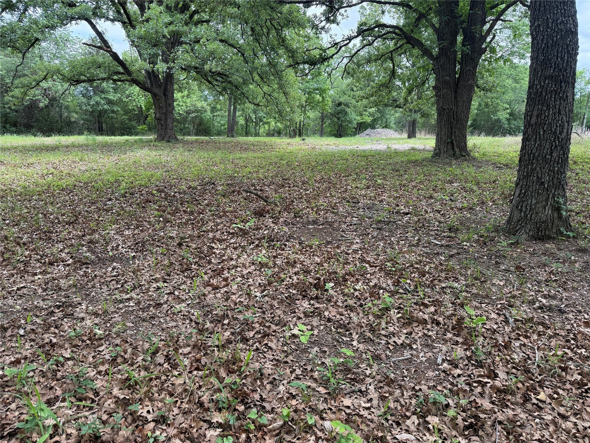 0.66 acres in Freestone County - photo 13