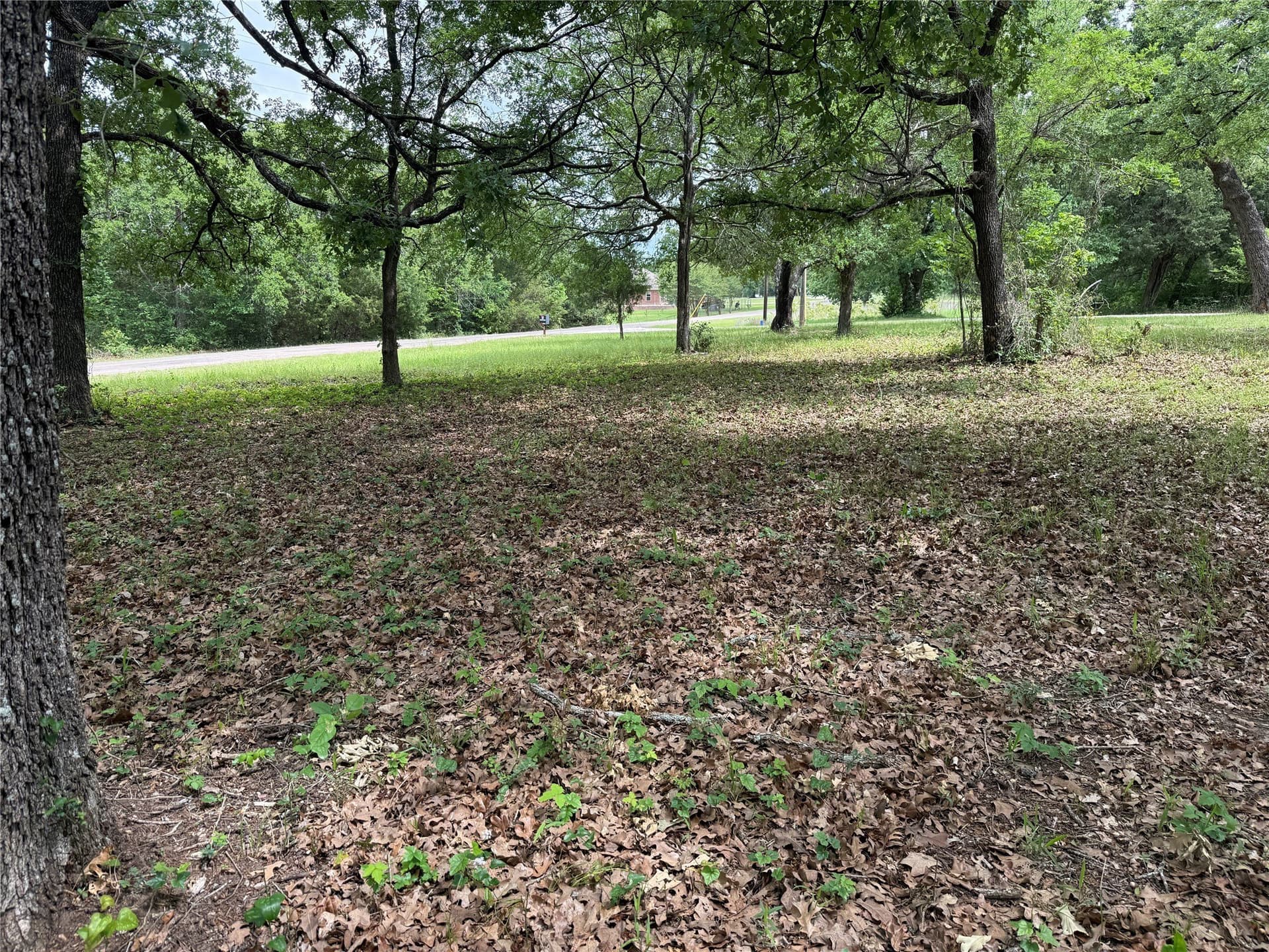 0.66 acres in Freestone County - photo 12
