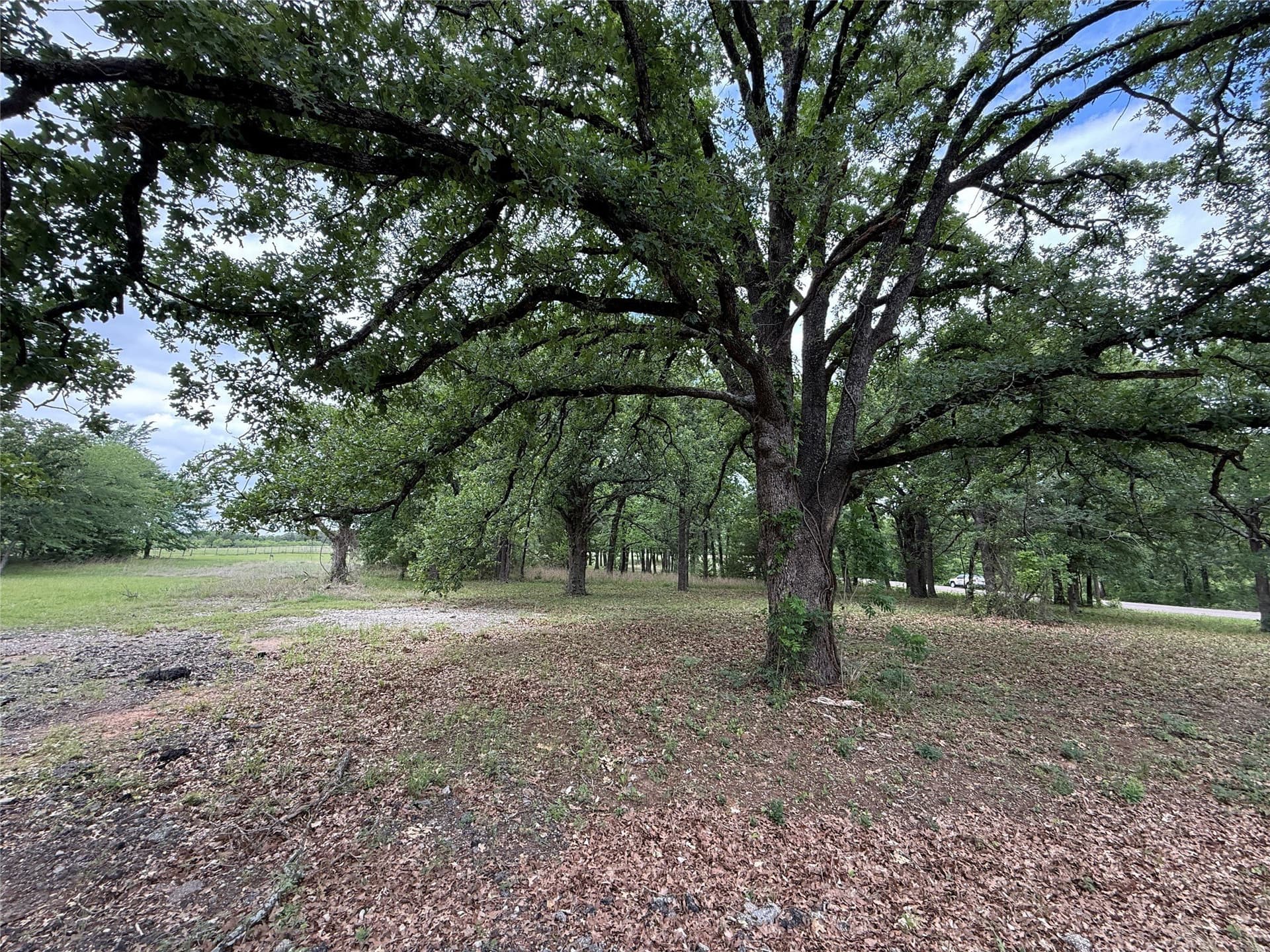 0.66 acres in Freestone County - photo 7