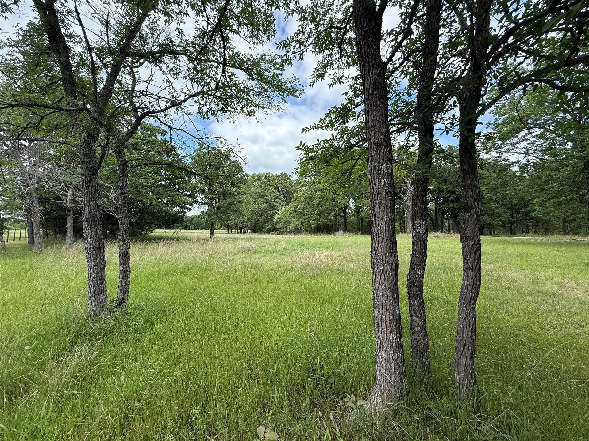 0.66 acres in Freestone County - photo 9