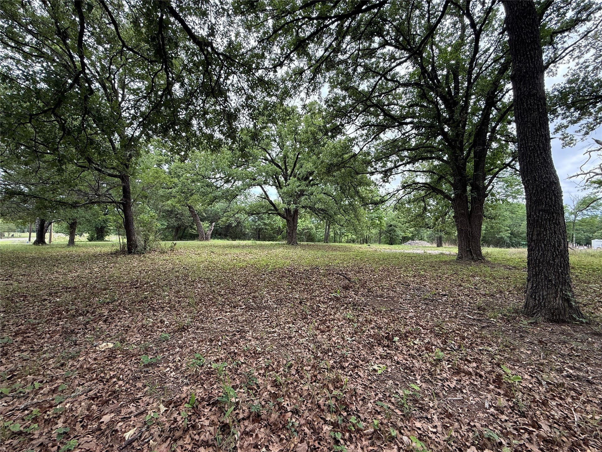 0.66 acres in Freestone County - photo 31