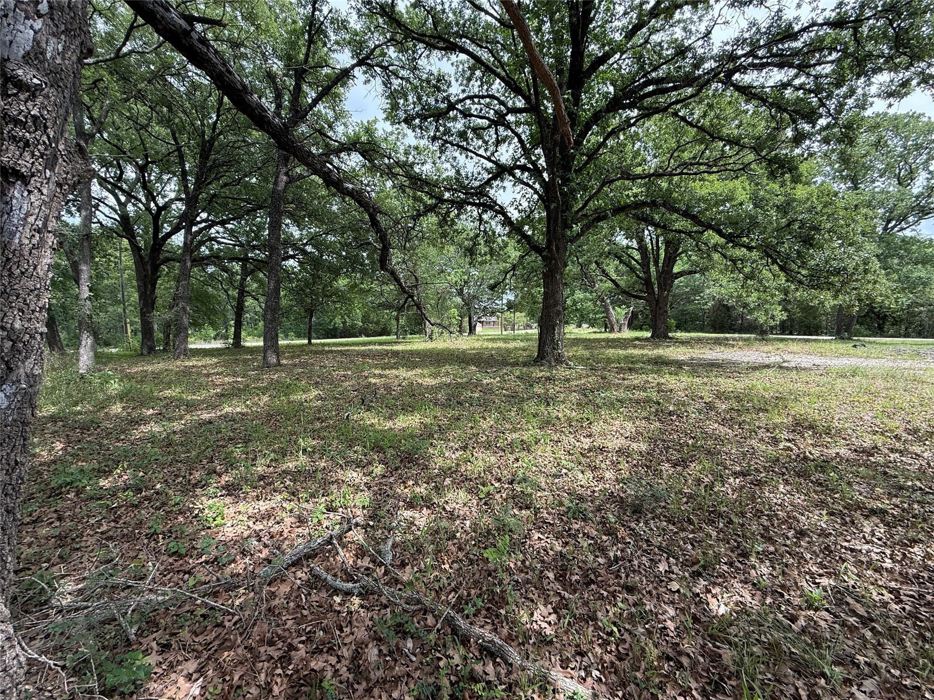 0.66 acres in Freestone County - photo 30