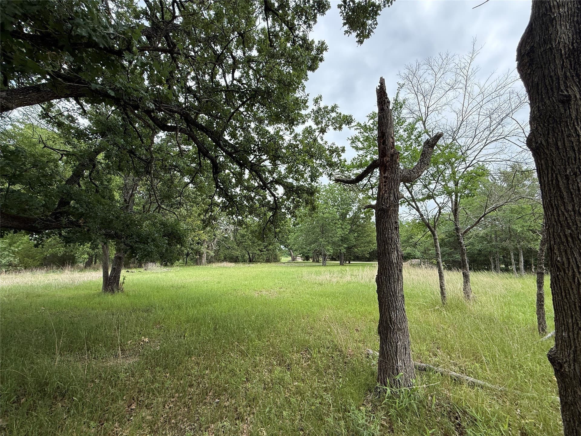 0.66 acres in Freestone County - photo 25