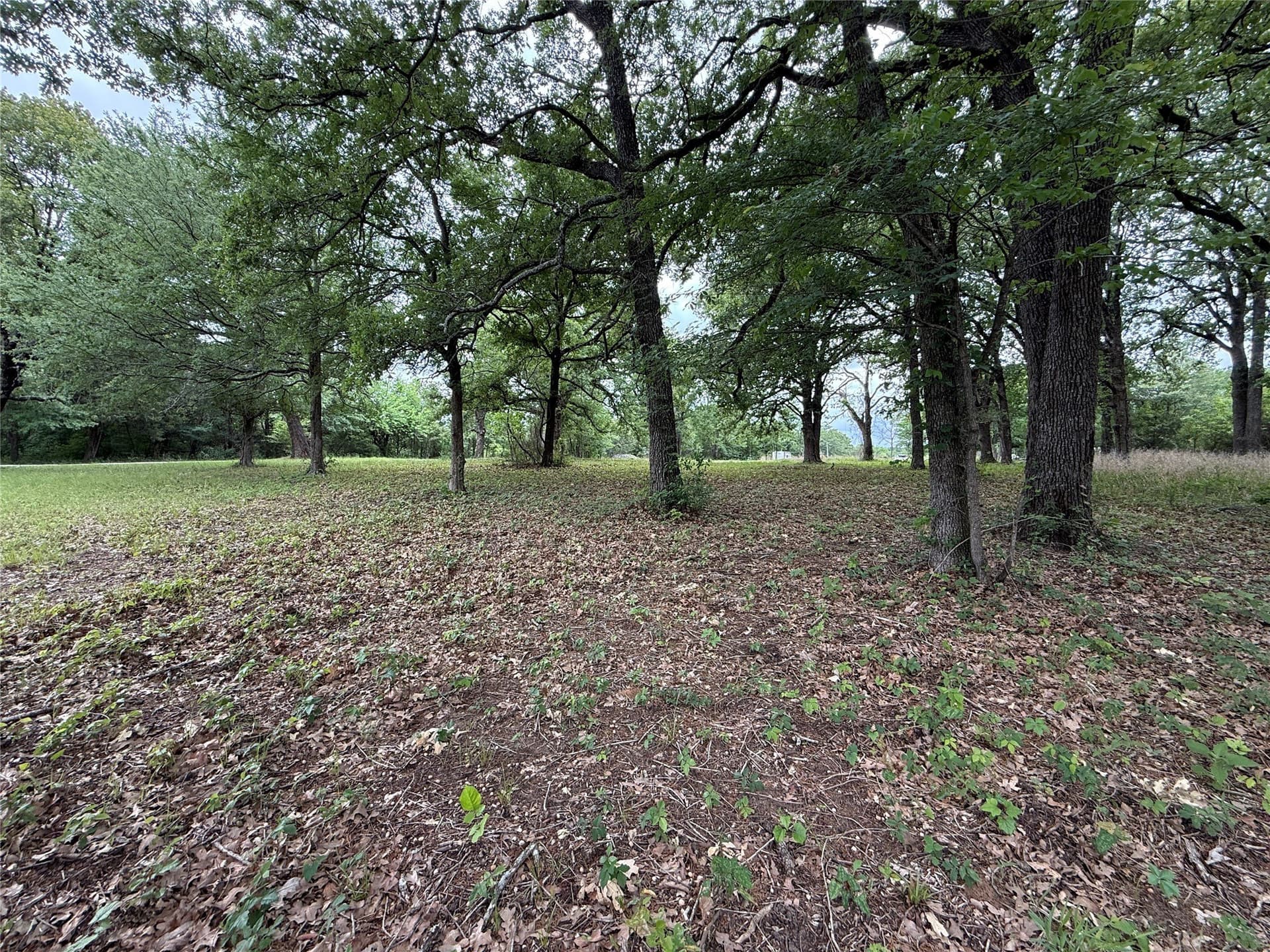 0.66 acres in Freestone County - photo 35