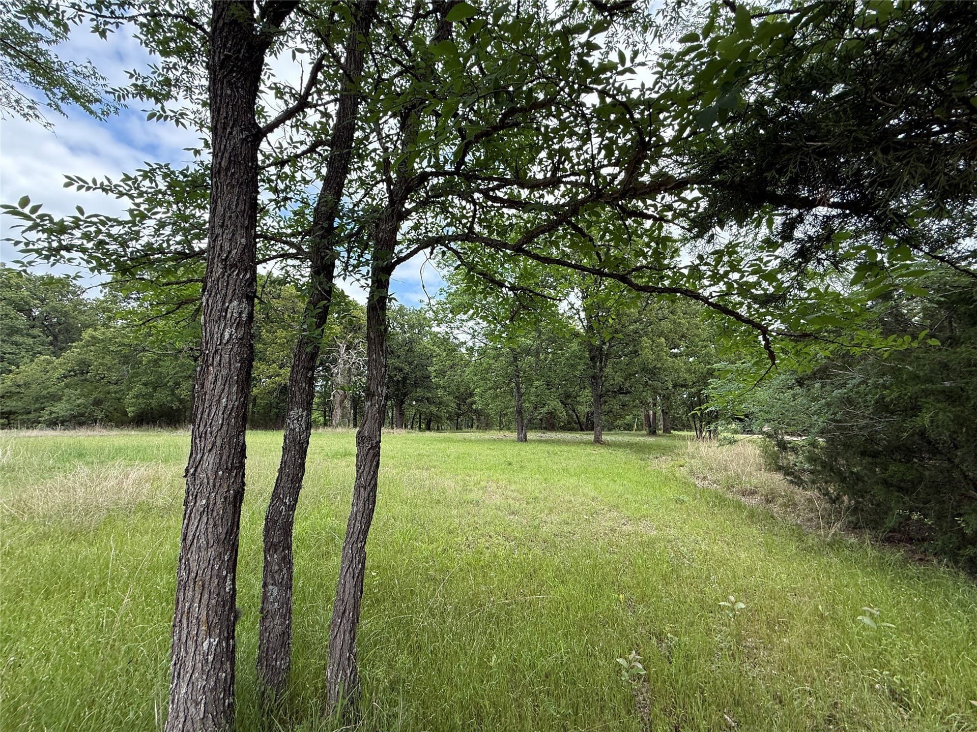 0.66 acres in Freestone County - photo 10