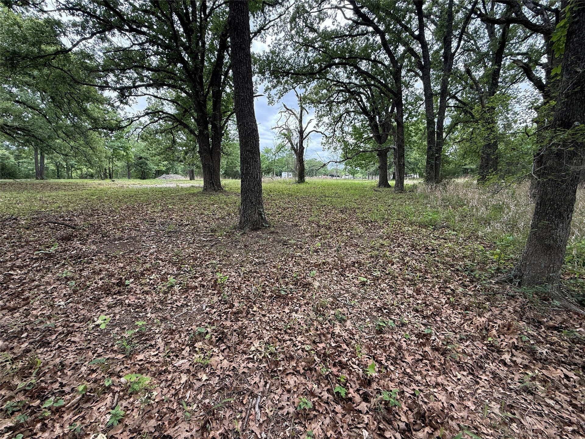 0.66 acres in Freestone County - photo 29