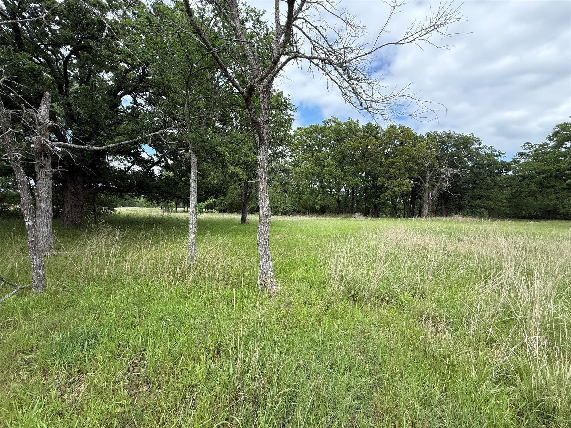 0.66 acres in Freestone County - photo 24