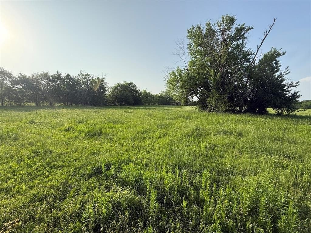10 acres in Hopkins County gallery image 4