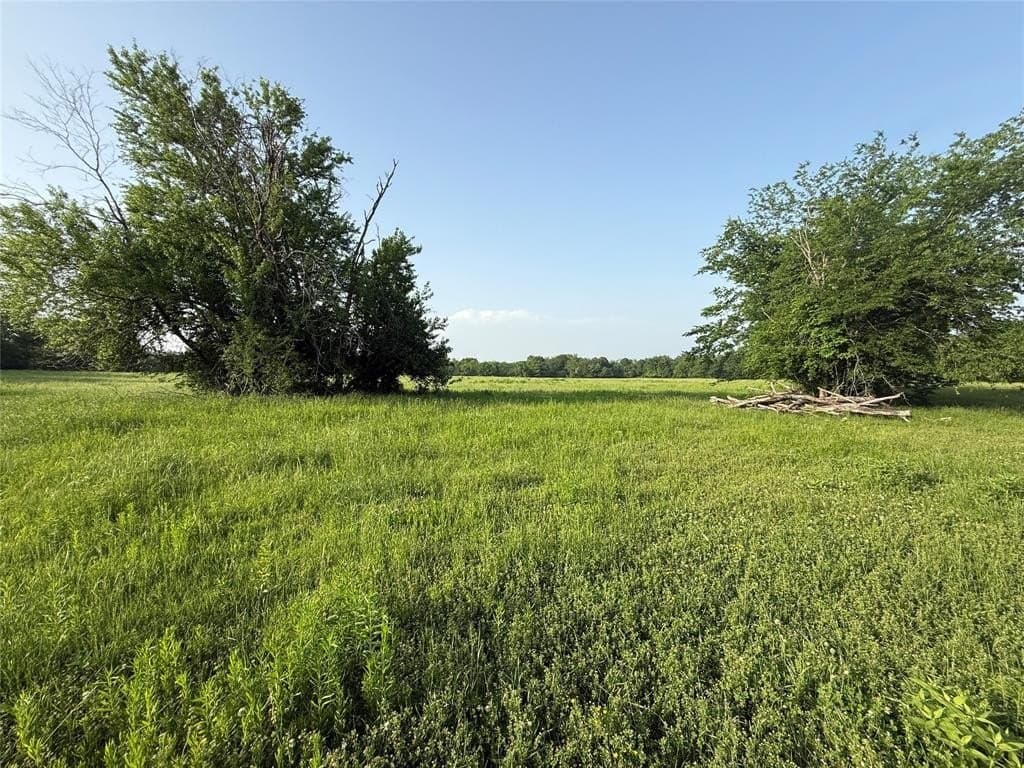 10 acres in Hopkins County gallery image 3