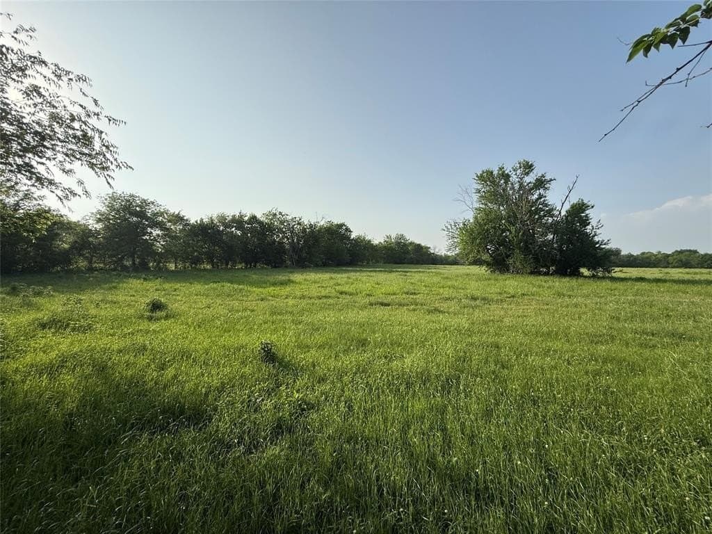 10 acres in Hopkins County gallery image 2