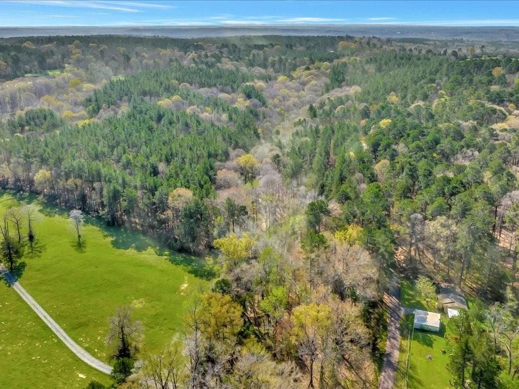 44.52 acres in Nacogdoches County gallery image 4