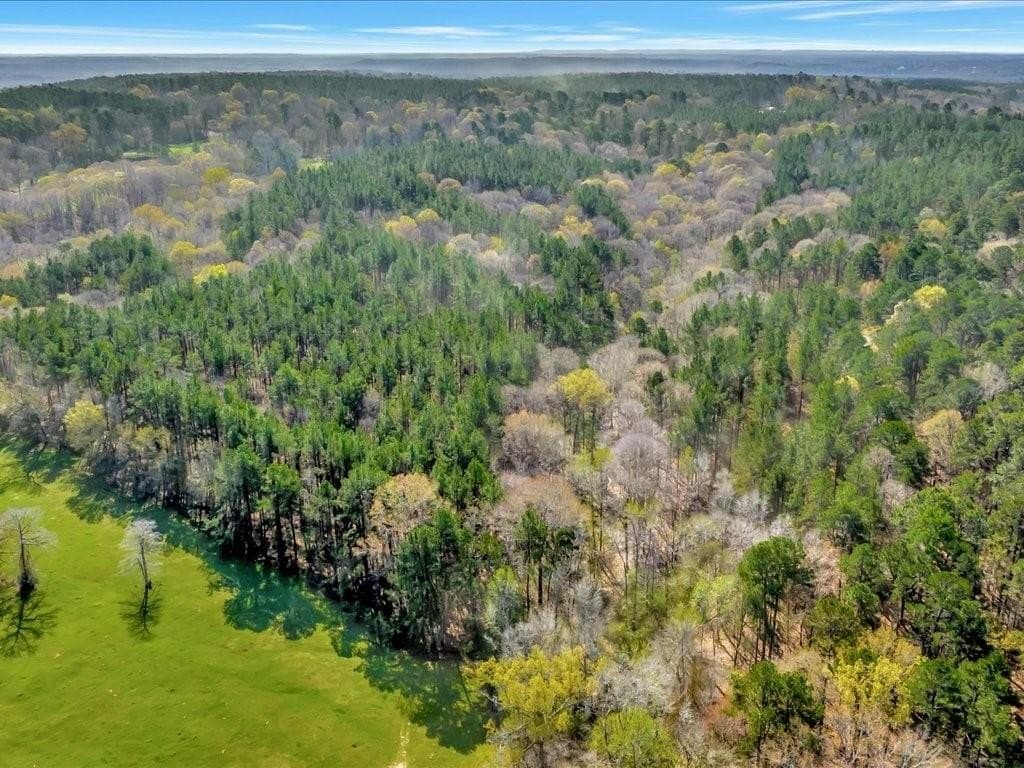 44.52 acres in Nacogdoches County featured view