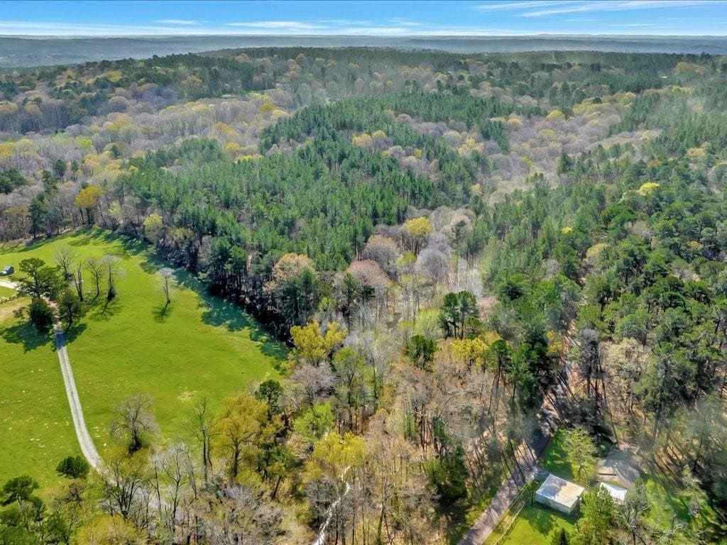 44.52 acres in Nacogdoches County gallery image 3