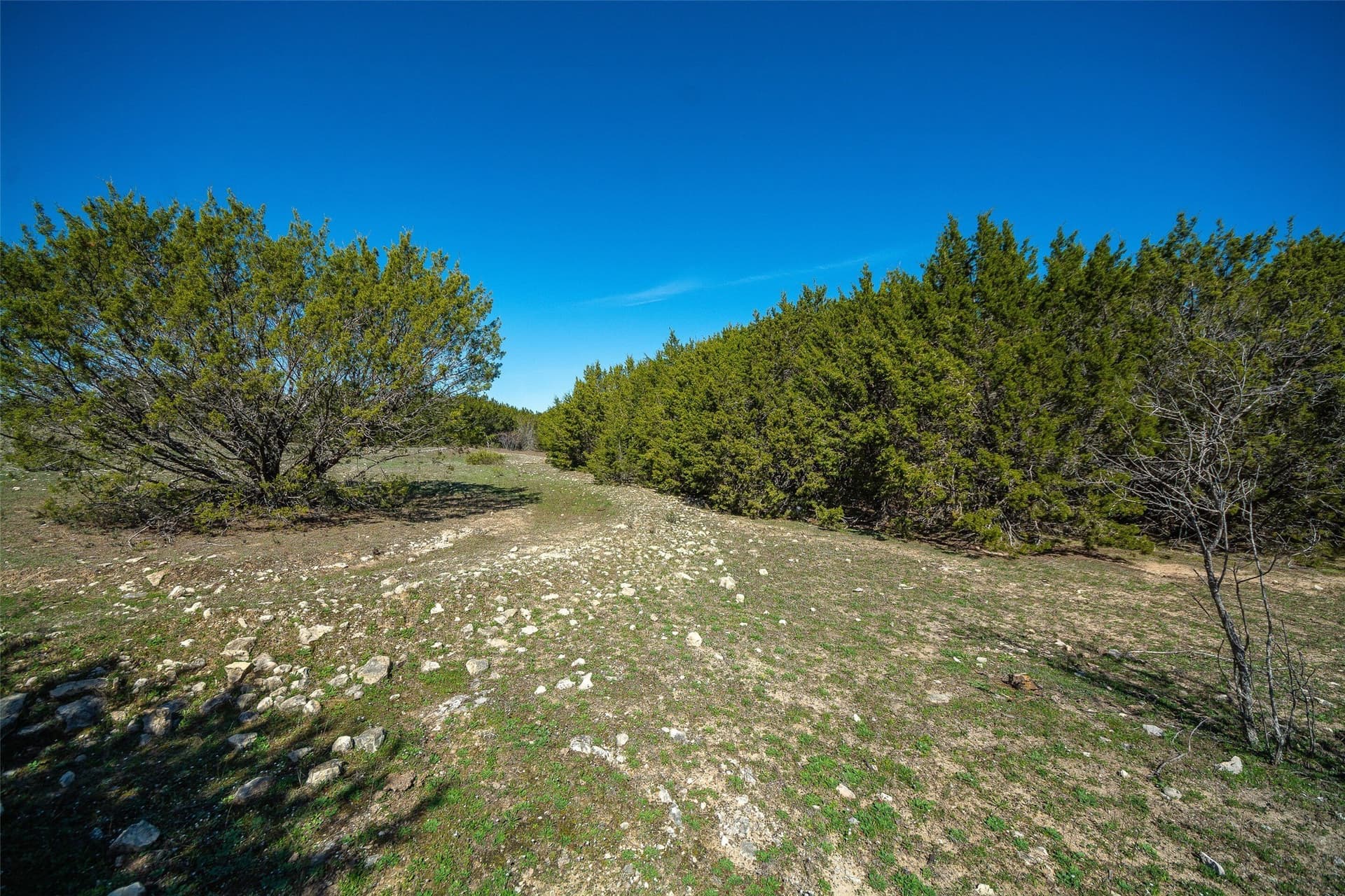 10.2 acres in Hood County - photo 13