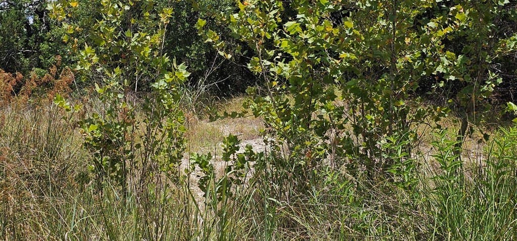 3.9 acres in Kerr County - photo 22
