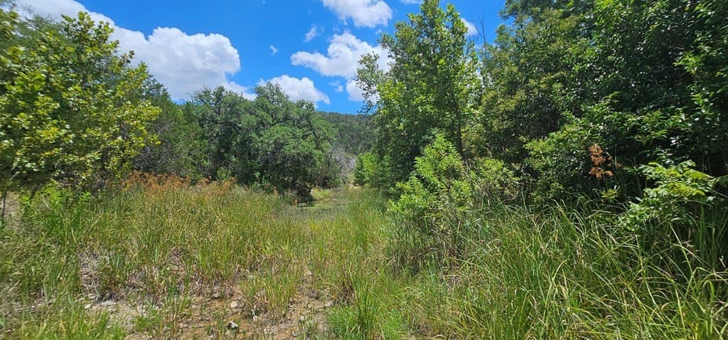 3.9 acres in Kerr County - photo 17